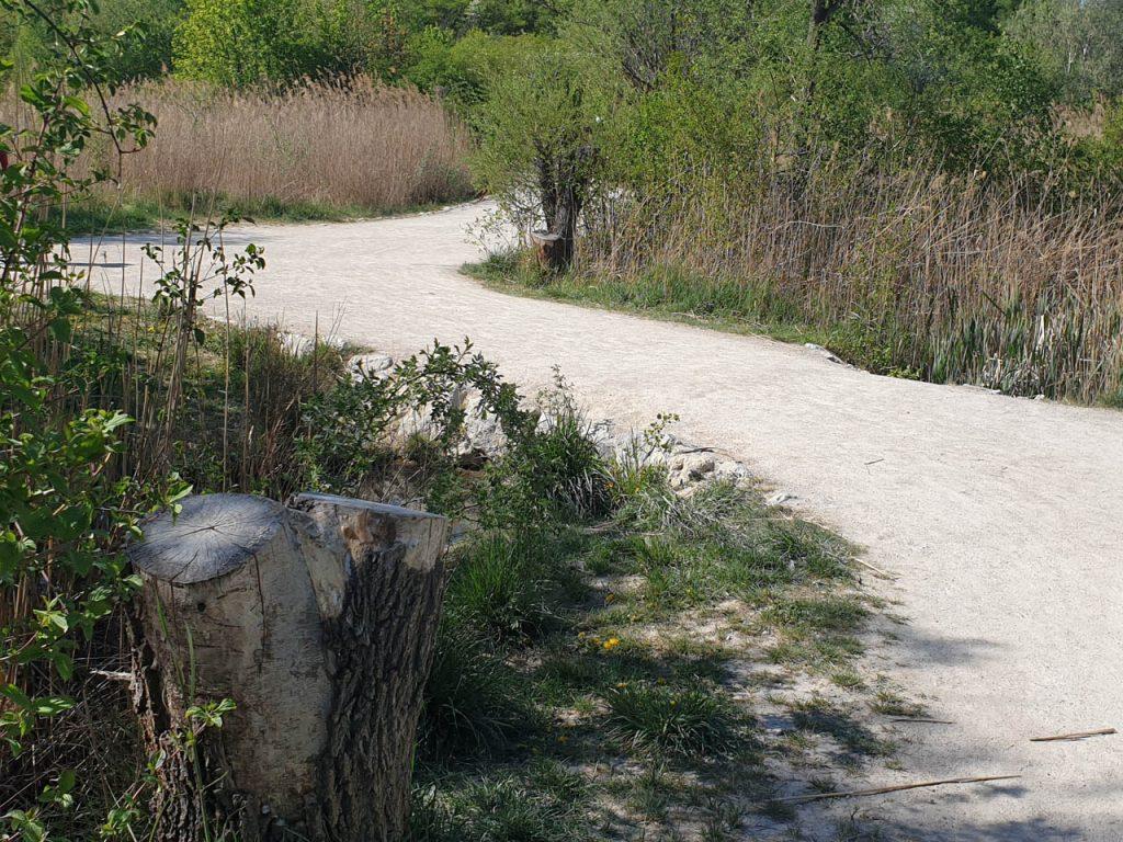 Wienerberg Trail - kurz vor dem Anstieg