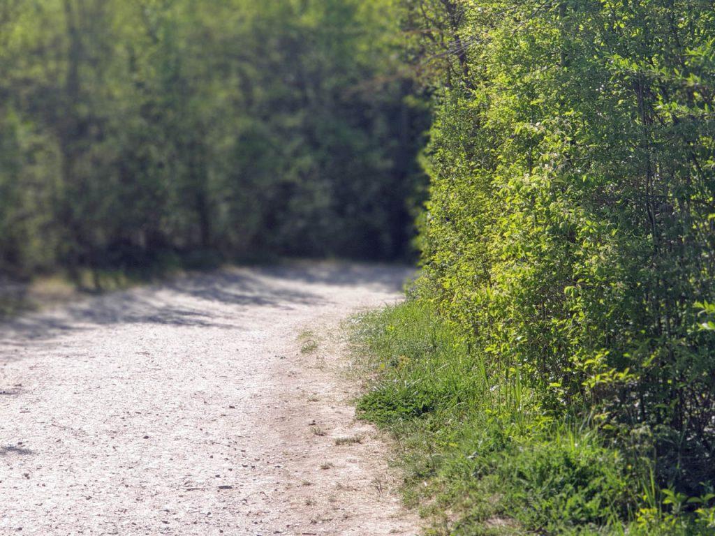 Wienerberg Trail - Streckenabschnitt