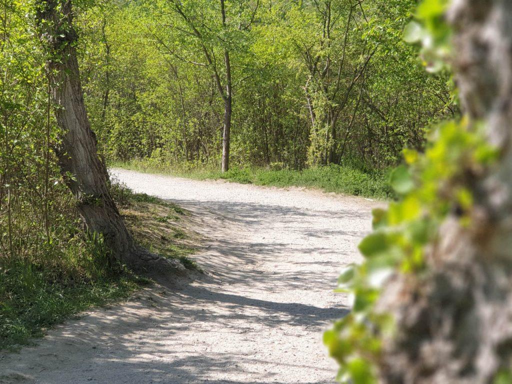 Wienerberg Trail - kurviger Streckenabschnitt